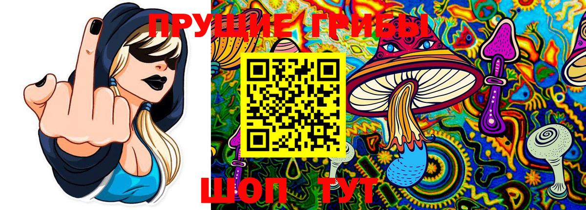 Мариинск  закладка  Вход с VPN  Галлюциногенные грибы прущие грибы 
