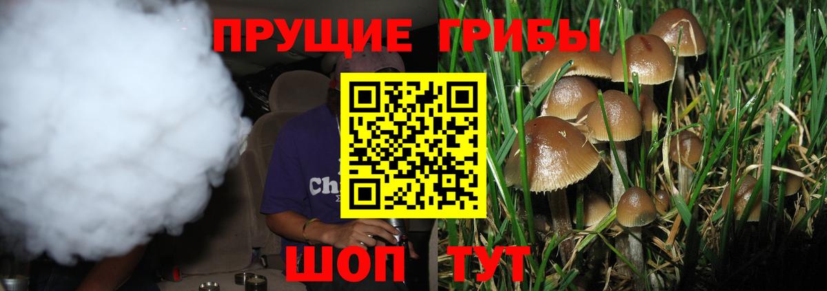 Псилоцибиновые грибы Cubensis Мариинск